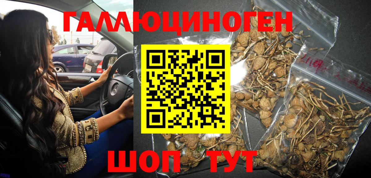 Галлюциногенные грибы Psilocybine cubensis  Галлюциногенные грибы Psilocybine cubensis  Краснокамск  Вход с VPN 