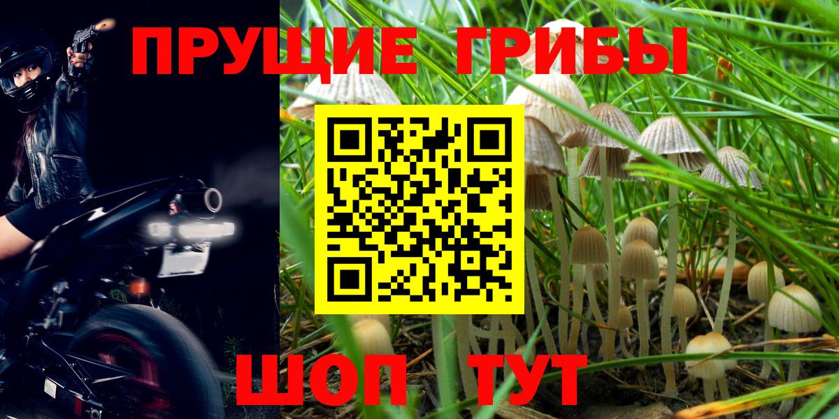 Псилоцибиновые грибы MAGIC MUSHROOMS Краснокамск